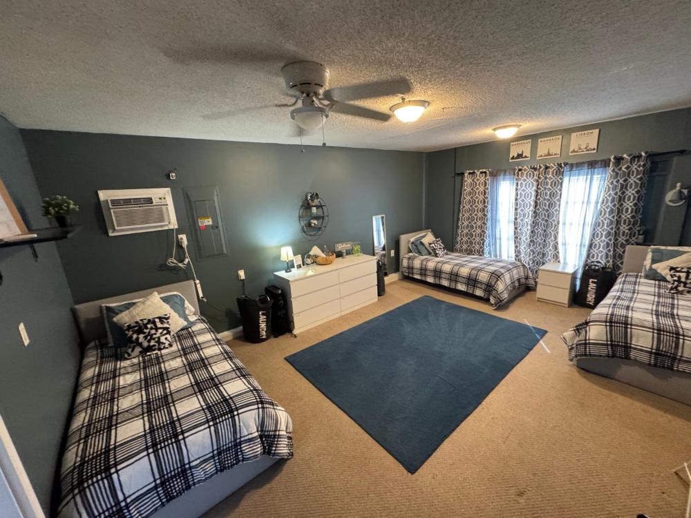 Single Bed in Mixed Dormitory Room interior
